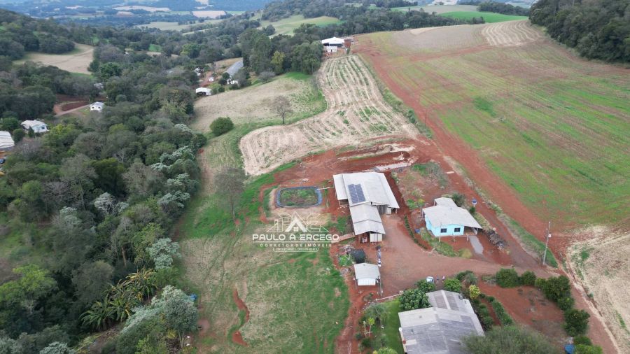 Sítio, 6 quartos, 5 hectares - Foto 14