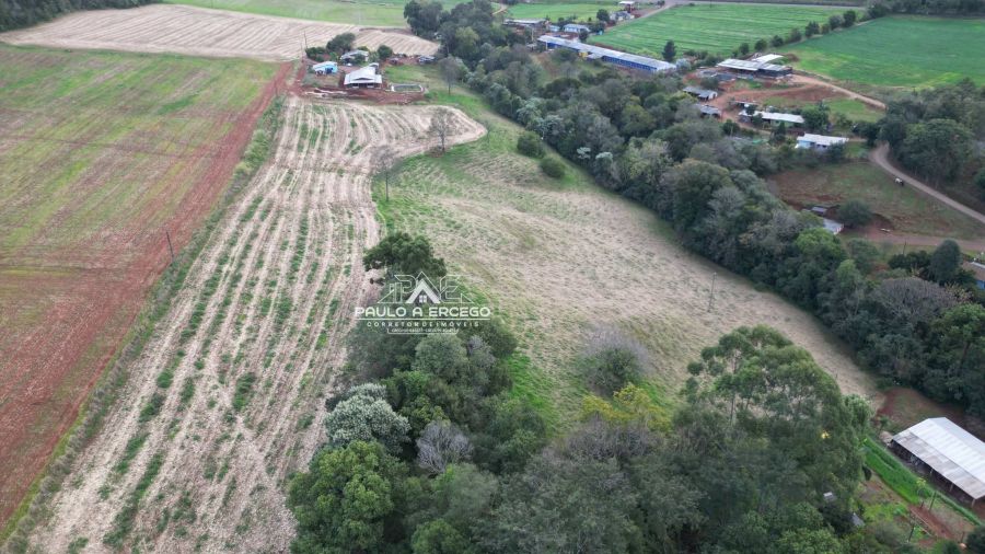 Sítio, 6 quartos, 5 hectares - Foto 8