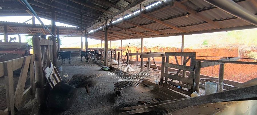 Sítio, 6 quartos, 5 hectares - Foto 12