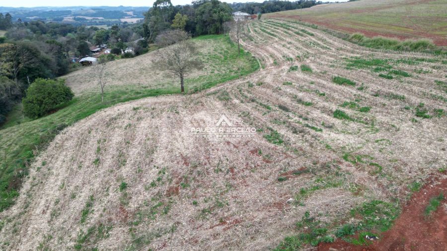 Sítio, 6 quartos, 5 hectares - Foto 10