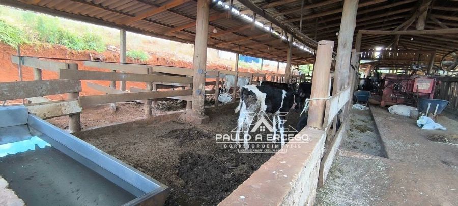 Sítio, 6 quartos, 5 hectares - Foto 4