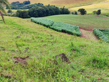 Stio - Venda - Interior - Renascena - PR