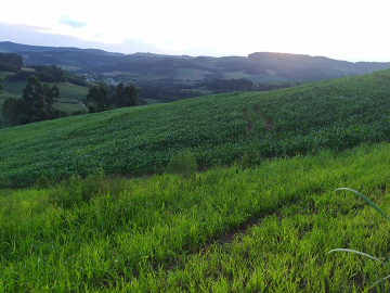 Stio - Venda - Interior - So Loureno do Oeste - SC