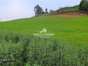 Stio - Venda - Interior - Marmeleiro - PR