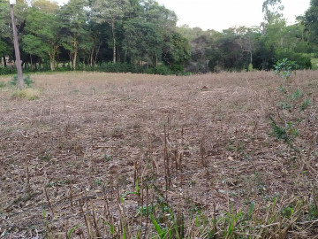 Chcara - Venda - Interior - Campo Er - SC