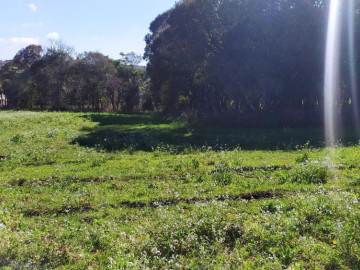 Chácara - Venda - Mello - Campo Erê - SC